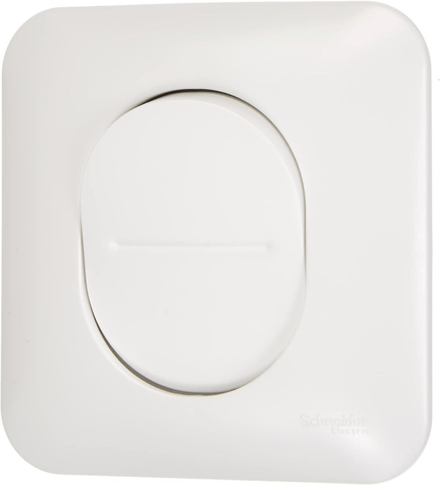 Schneider Electric Schneider Electric S260204 Interrupteur ou va et vient 10 amperes Ovalis complet 250 V