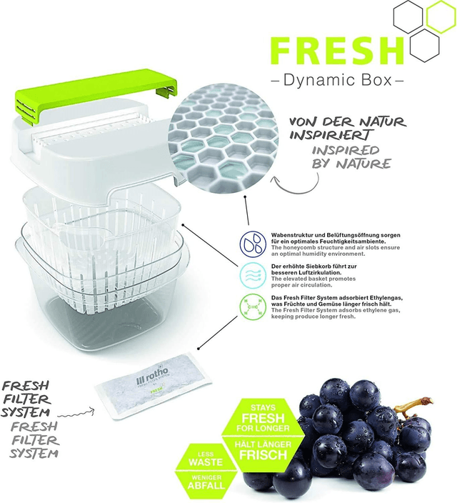Rotho Fresh Jeu de 4 recharges Fresh Filter System, de nouveaux filtres, blanc, (12.0 x 6.7 x 4.2 cm)