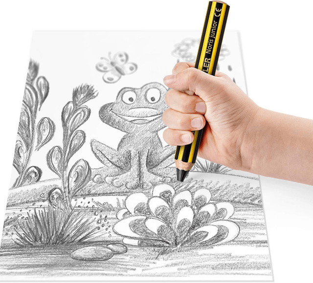 Staedtler Noris Junior, Crayon à papier gros module, Spécialement conçu pour les enfants, Étui carton avec 1 crayon à papier 2B