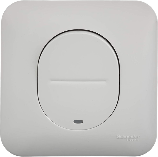 Schneider Electric S260263 Interrupteur ou va et vient lumineux 10 ampères Ovalis complet 250 V