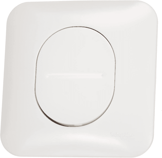 Schneider Electric Schneider Electric S260204 Interrupteur ou va et vient 10 amperes Ovalis complet 250 V